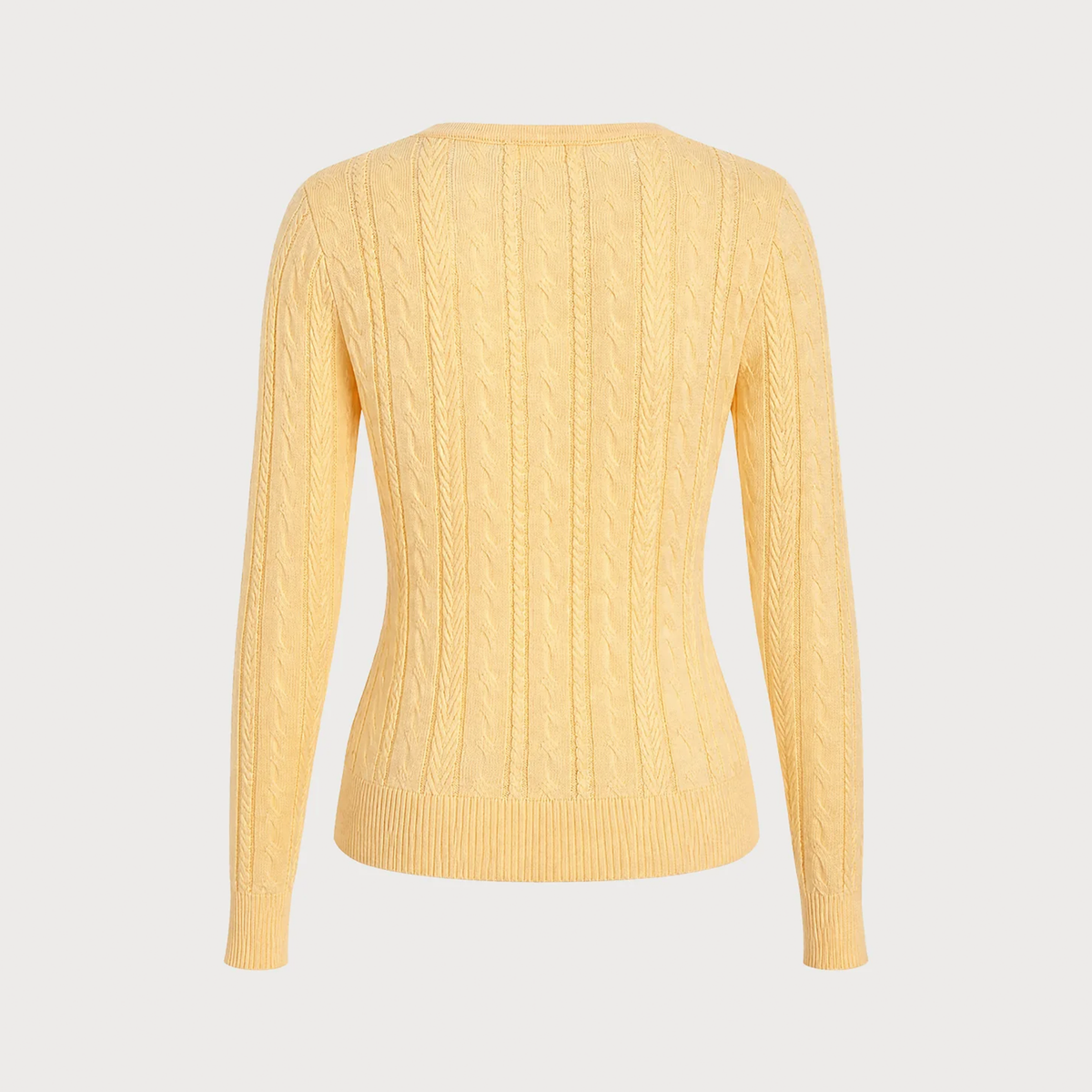 Round Neck Henley Button Textured Slim Knit Sweater